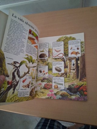 Fauna de jardín