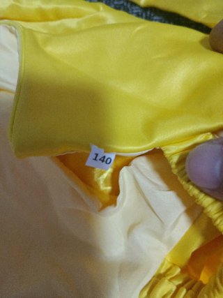 Disfraz Bella 15€ original 10€ el chino