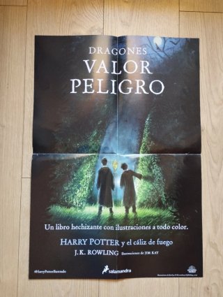 Lote de posters de Harry Potter