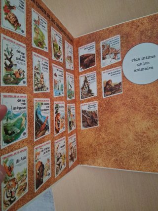 Los animales de la selva amazónica