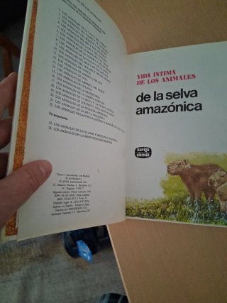 Los animales de la selva amazónica