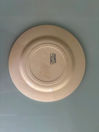 Restos de vajilla vintage de cerámica