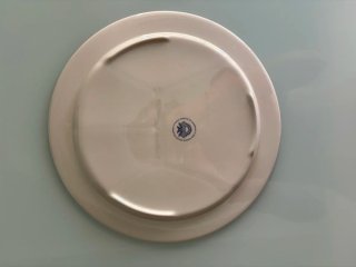 Restos de vajilla vintage de cerámica