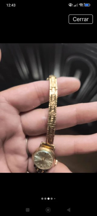 Reloj Radiant bañado en oro 15 rubíes
