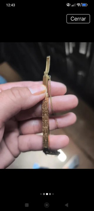 Reloj Radiant bañado en oro 15 rubíes