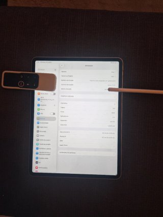 iPad Pro 12.9 4ª Gen 256GB Plata