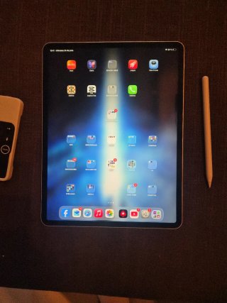 iPad Pro 12.9 4ª Gen 256GB Plata