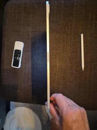 iPad Pro 12.9 4ª Gen 256GB Plata