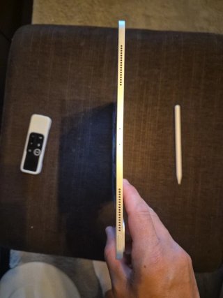 iPad Pro 12.9 4ª Gen 256GB Plata