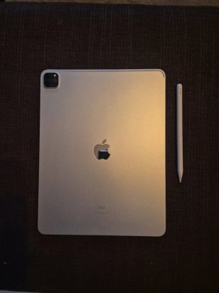 iPad Pro 12.9 4ª Gen 256GB Plata