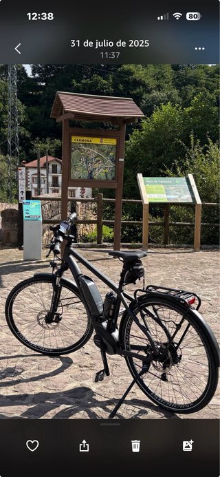 Bicicleta eléctrica de alforja