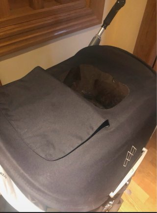Silla de paseo MacLaren