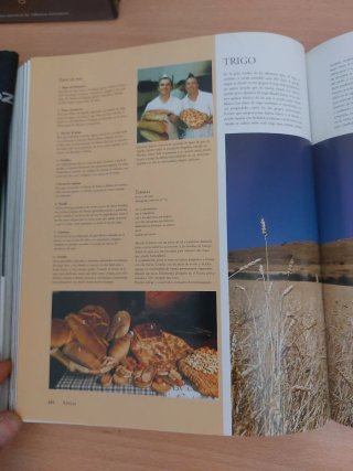 culinaria, italia