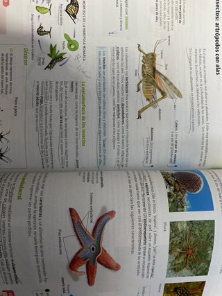 Biología y geología, 1 ESO