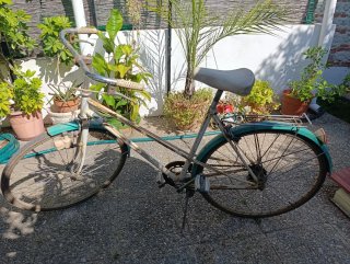 Bicicleta Retro Vintage