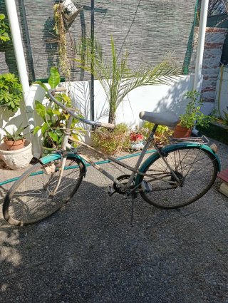 Bicicleta Retro Vintage