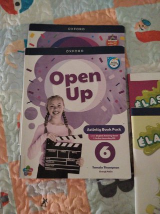 Open Up 6 Activity Book Spain)