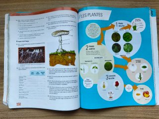 Biologia i Geologia I, ESO, Secundària, D'una a...