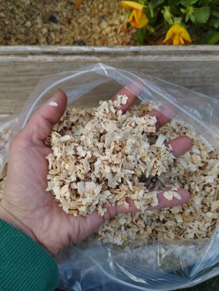 OFERTA: 3 Bolsas Viruta Mediana - 700gr