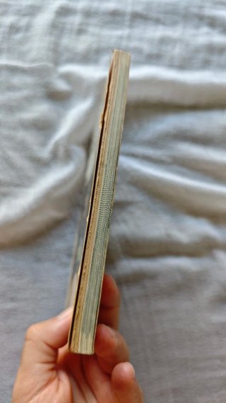 Libro "Miguel Ángel pintor" - Luciano Bellosi