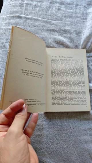 Libro "Miguel Ángel pintor" - Luciano Bellosi