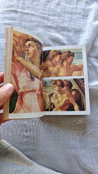Libro "Miguel Ángel pintor" - Luciano Bellosi