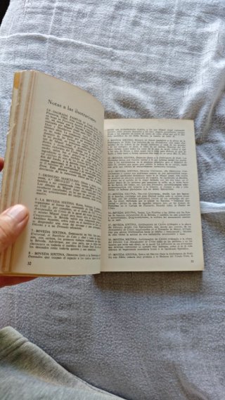 Libro "Miguel Ángel pintor" - Luciano Bellosi