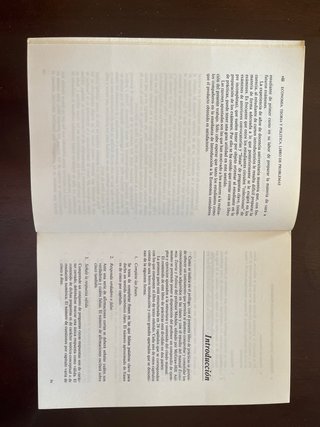 Economía y teoría política