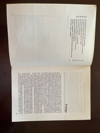 Economía y teoría política
