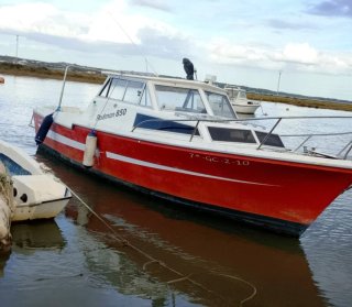 Barco Rodman 8.5m con motor 100cv