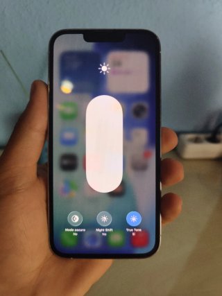 iPhone 13 Pro 256GB | Garantía