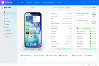 iPhone 13 Pro 256GB | Garantía
