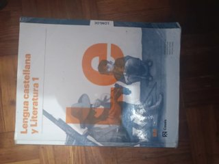 Lengua castellana y literatura 1, Le Bachillerato