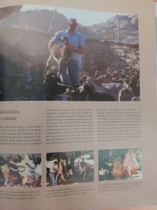 Libro Culinaria Grecia la cocina griega