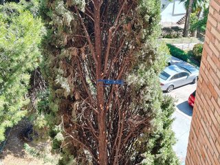 Piso en venta en Alegría de la Huerta- Jardín de Málaga en Málaga
