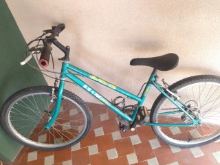 Bicicleta Riamo Bikes 600