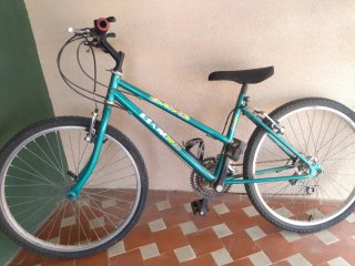 Bicicleta Riamo Bikes 600
