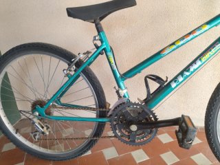 Bicicleta Riamo Bikes 600