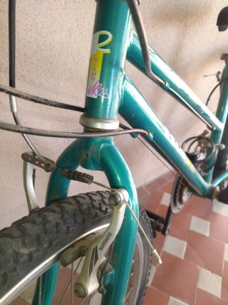 Bicicleta Riamo Bikes 600