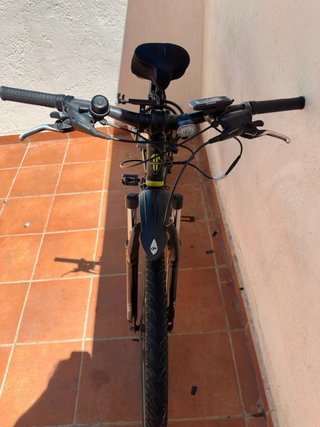 Bici Eléctrica Rin 29