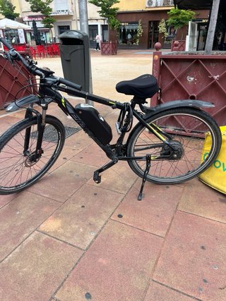 Bici Eléctrica Rin 29