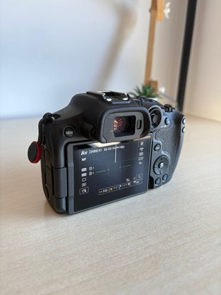Canon EOS R7 + Sigma 18-50mm f2.8