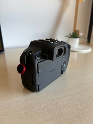 Canon EOS R7 + Sigma 18-50mm f2.8