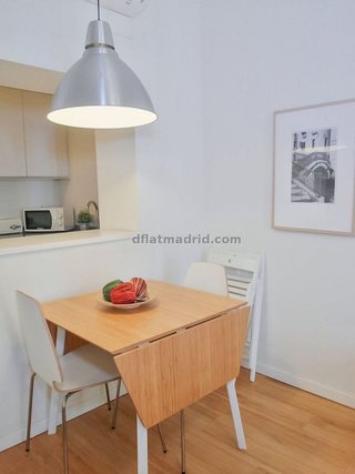 Piso en alquiler en Embajadores - Lavapiés en Madrid