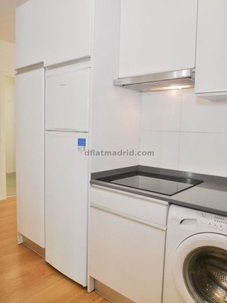 Piso en alquiler en Embajadores - Lavapiés en Madrid