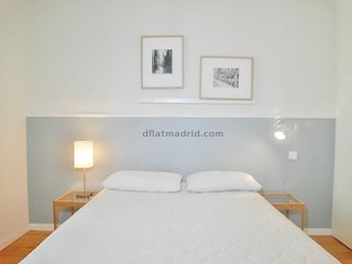 Piso en alquiler en Embajadores - Lavapiés en Madrid