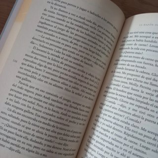 La razón de estar contigo. Un nuevo viaje