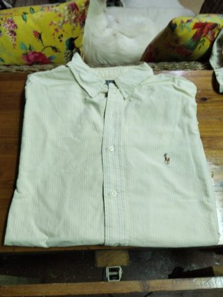 3 Camisas Ralph Lauren
