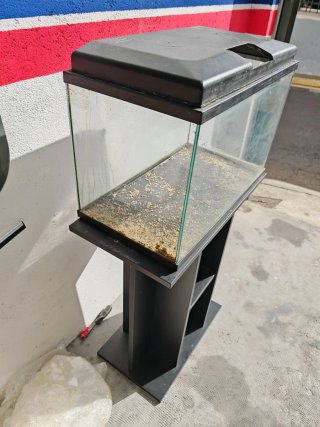 Pecera con soporte negro atril