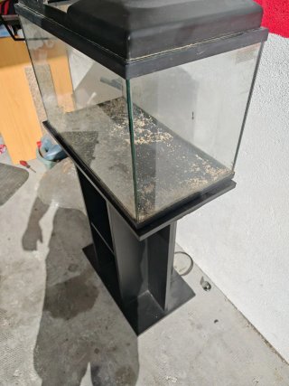 Pecera con soporte negro atril